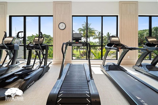 exercise room with a wealth of natural light