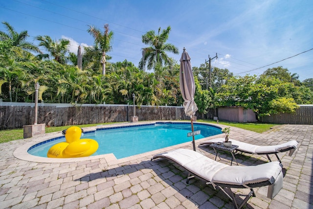 941 NW 26th Ct, Wilton Manors, FL 33311 - view of swimming pool featuring a fenced in pool, a patio area, and a fenced backyard