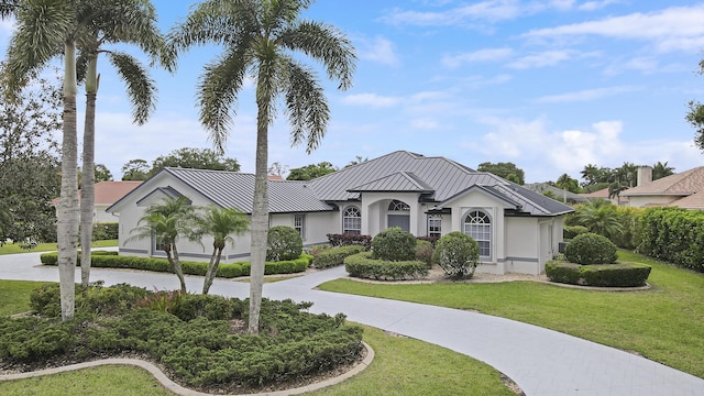 view of front of property featuring curved driveway, a standing seam roof, stucco siding, metal roof, and a front lawn