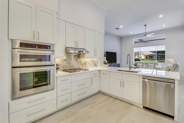 kitchen featuring a sink, ornamental molding, appliances with stainless steel finishes, a ceiling fan, and under cabinet range hood