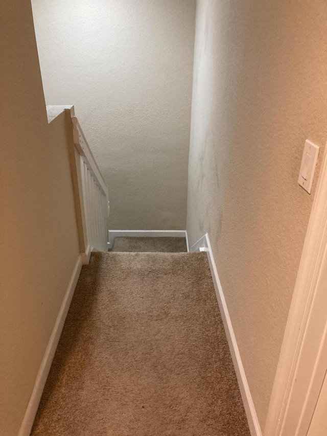 3203 Shoma Dr Unit 294/32, Royal Palm Beach, FL 33414 - stairs featuring carpet flooring, a textured wall, and baseboards