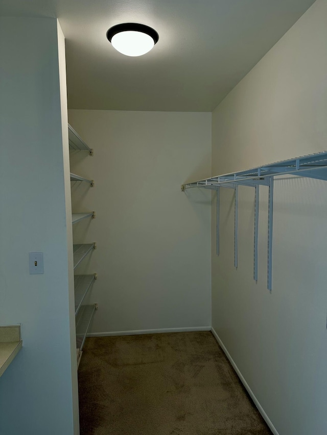 12394 Alternate A1A O7, Palm Beach Gardens, FL 33410 - walk in closet with carpet floors