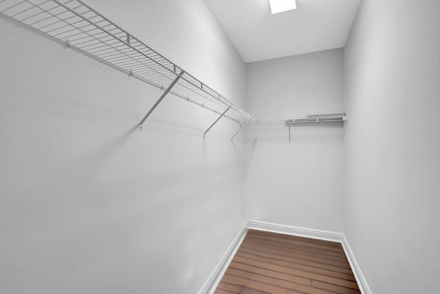 walk in closet featuring wood finished floors