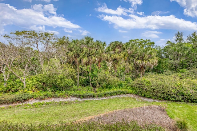 view of yard with a wooded view
