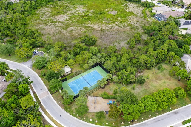 bird's eye view