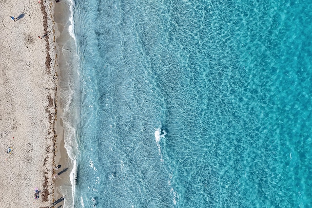 bird's eye view