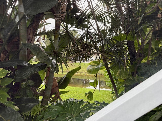 view of property's community featuring a yard