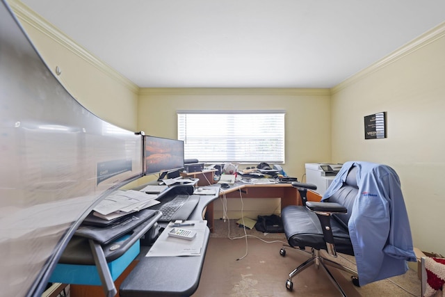 442 SE 17th Ter, Deerfield Beach, FL 33441 - office space with crown molding