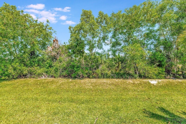 6449 NW Castlebrook Ave, Port Saint Lucie, FL 34983 - view of nature