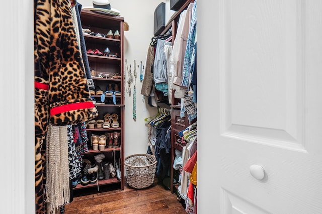 walk in closet featuring wood finished floors