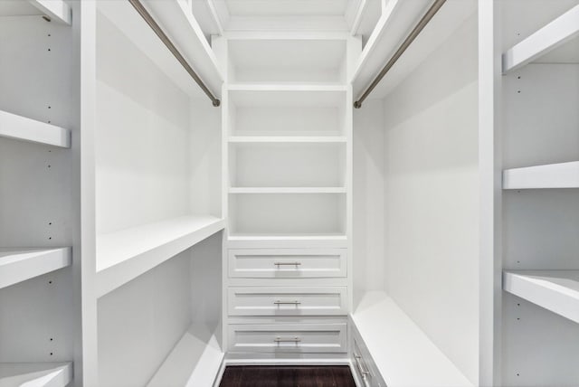 spacious closet featuring dark wood-style floors