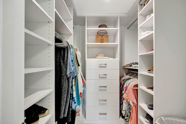 view of walk in closet