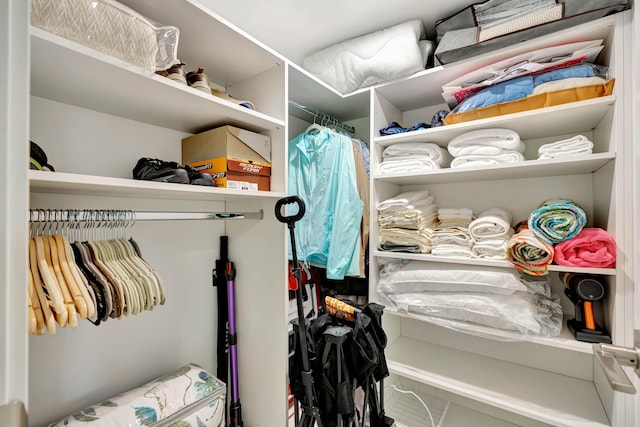 view of spacious closet