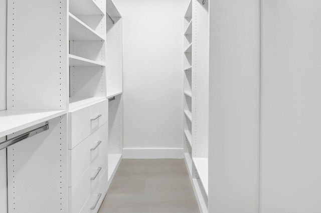 spacious closet featuring light wood-style flooring