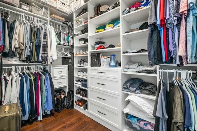 spacious closet with dark wood finished floors