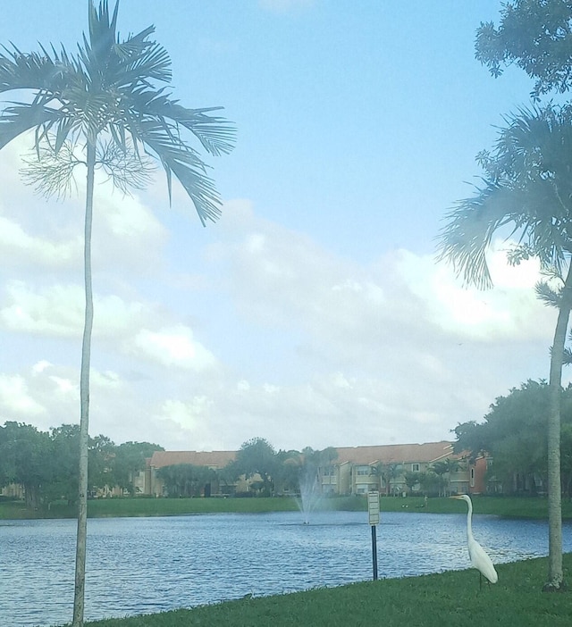 water view