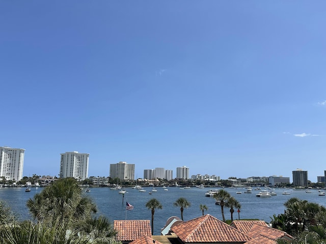 water view with a city view