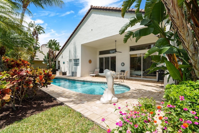 19699 Dinner Key Dr, Boca Raton, FL 33498 - rear view of property with stucco siding, an outdoor pool, a patio area, and ceiling fan
