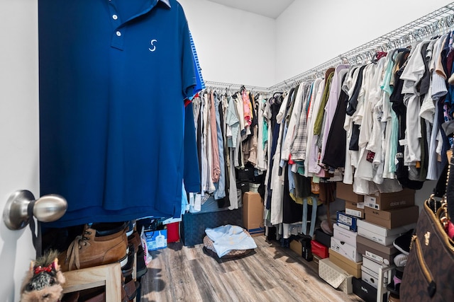 1908 Harding St, Lake Worth, FL 33460 - walk in closet with wood finished floors