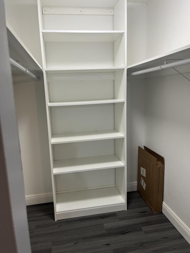 spacious closet featuring dark wood-type flooring
