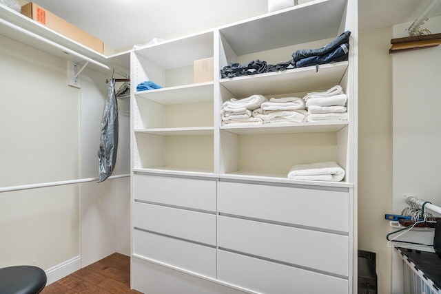 2020 Newhaven Ave, Wellington, FL 33414 - spacious closet with dark wood-style floors