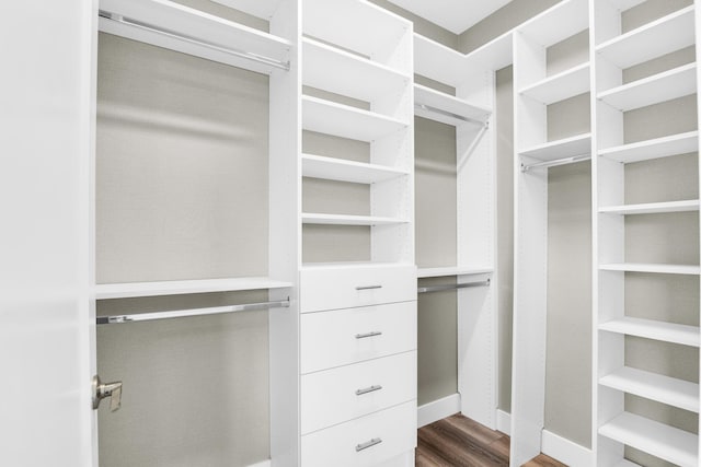 spacious closet featuring dark wood-style flooring