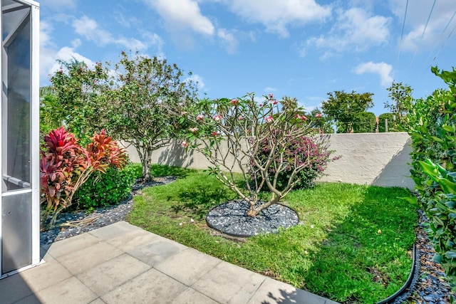 view of yard with a patio and a fenced backyard