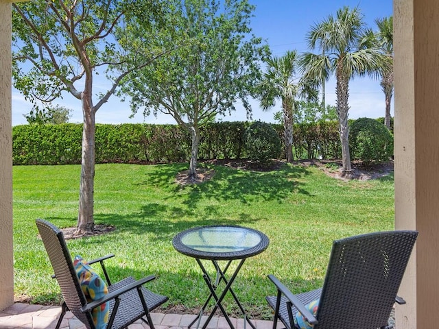 view of grassy yard