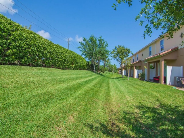 view of green lawn