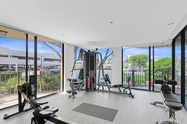 workout area with a wall of windows and a healthy amount of sunlight