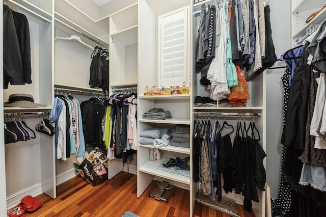 310 E Mallory Cir, Delray Beach, FL 33483 - spacious closet with wood finished floors