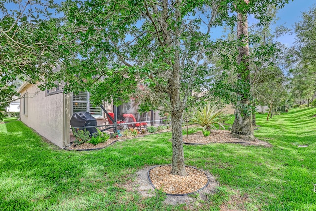 9068 Clearhill Rd, Boynton Beach, FL 33473 - view of yard