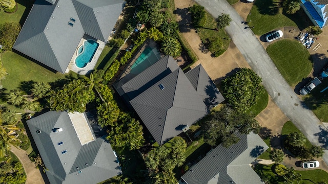 bird's eye view