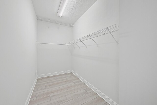 122 Diamante Way, Jupiter, FL 33477 - spacious closet with light wood-style flooring