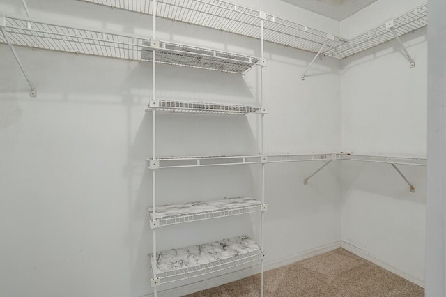 18356 181st Cir S, Boca Raton, FL 33498 - spacious closet featuring carpet
