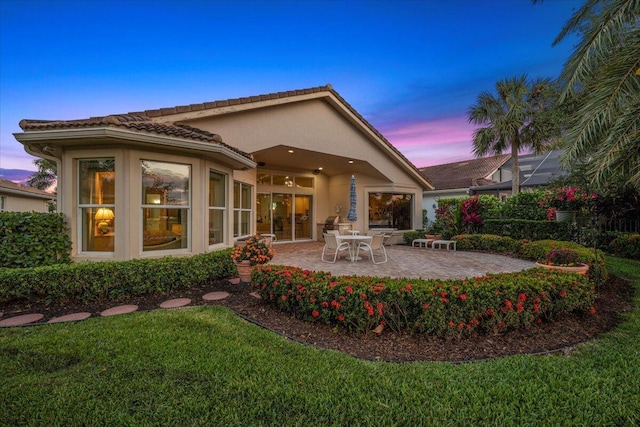 back of house with a patio, a lawn, and stucco siding