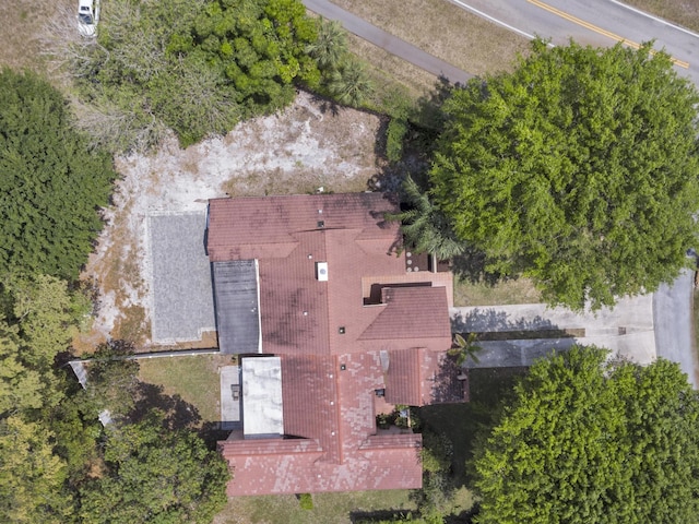 aerial view