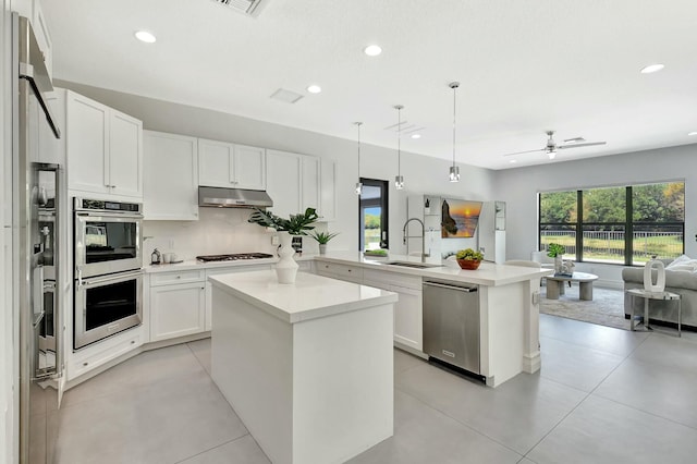 kitchen with open floor plan, appliances with stainless steel finishes, a peninsula, under cabinet range hood, and recessed lighting