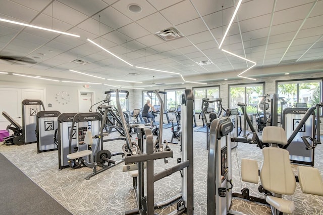 workout area featuring carpet flooring, a drop ceiling, and visible vents