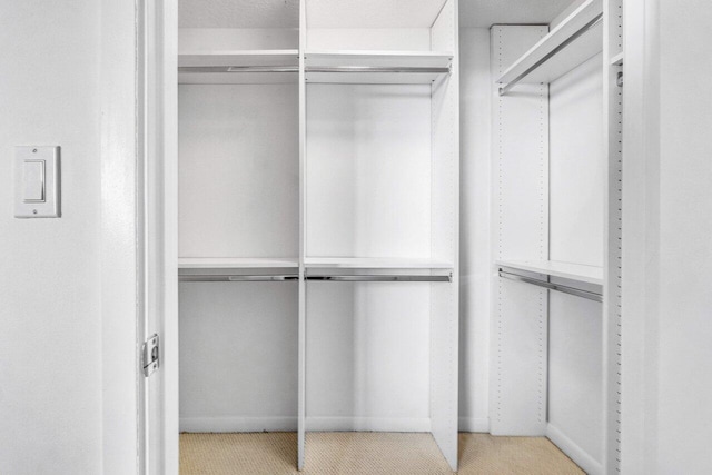 1551 N Flagler Dr Unit 1509, West Palm Beach, FL 33401 - spacious closet featuring light carpet