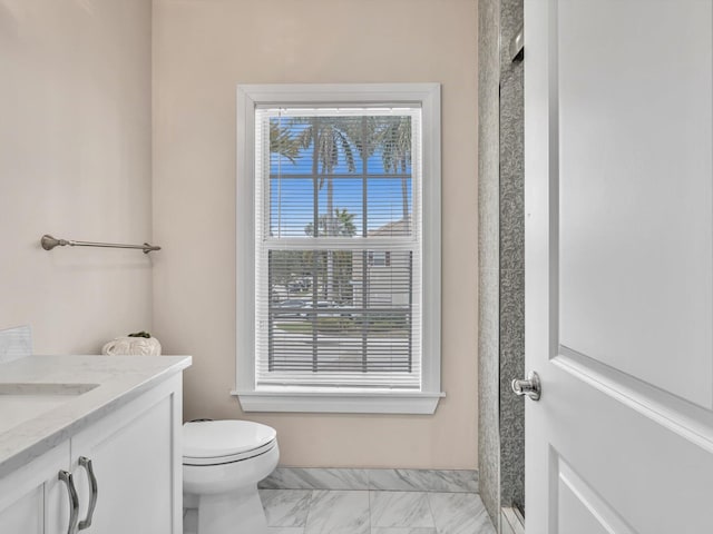 bathroom with toilet and vanity