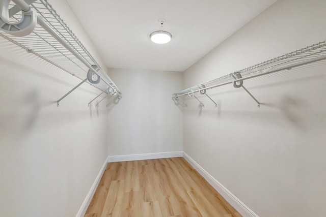 spacious closet with light wood-style floors
