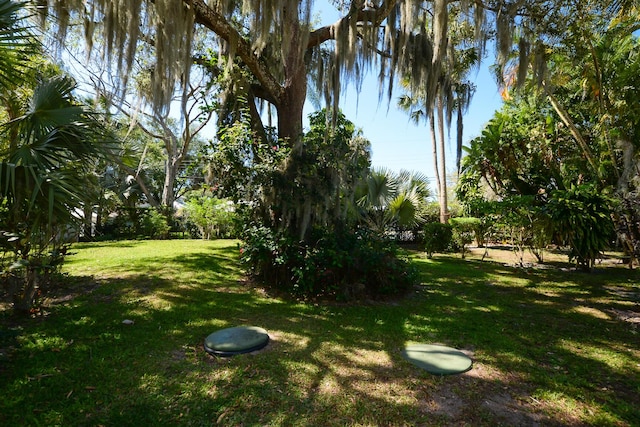 view of road featuring driveway