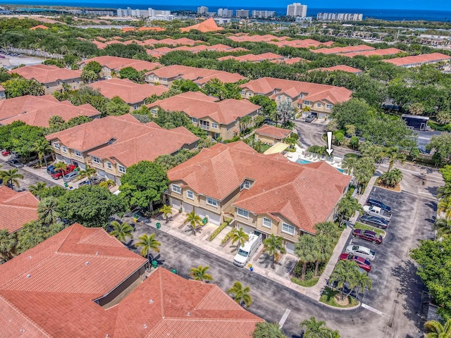 bird's eye view