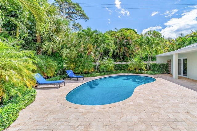 225 NW 11th St, Delray Beach, FL 33444 - view of swimming pool featuring a patio area