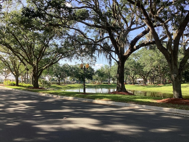 2415 SW Danbury Ln, Palm City, FL 34990 - surrounding community featuring a water view