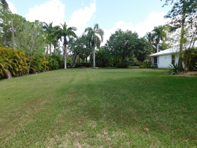 17609 72nd Rd N, The Acreage, FL 33470 - view of yard