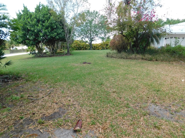 17609 72nd Rd N, The Acreage, FL 33470 - view of yard