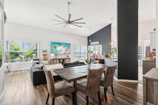 dining space featuring ceiling fan, a wealth of natural light, wood finished floors, and high vaulted ceiling