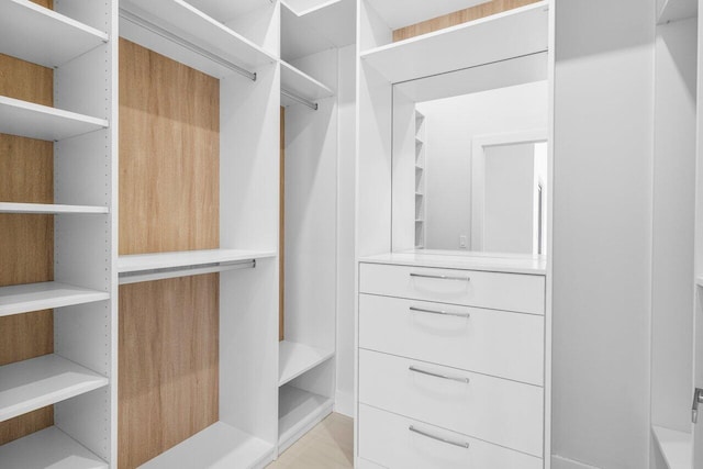306 Plymouth Rd, West Palm Beach, FL 33405 - view of spacious closet